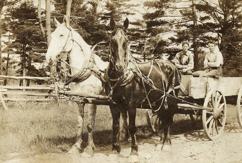 Two horses, two men and one wagon