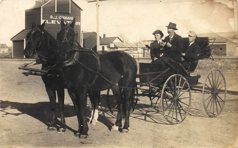 Three men in a buggy, probably father and sons