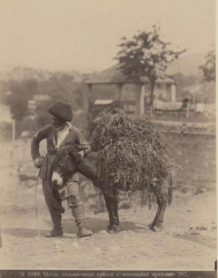 Exploring the Cultural Heritage of Caucasia and Transcaucasia Through 19th-Century Photos