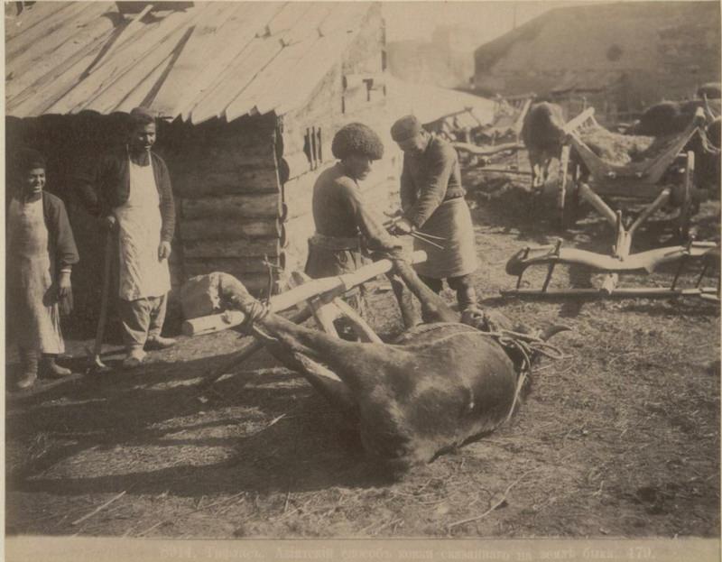 Exploring the Cultural Heritage of Caucasia and Transcaucasia Through 19th-Century Photos