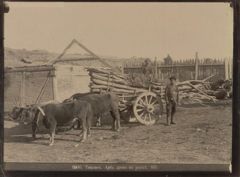 Exploring the Cultural Heritage of Caucasia and Transcaucasia Through 19th-Century Photos