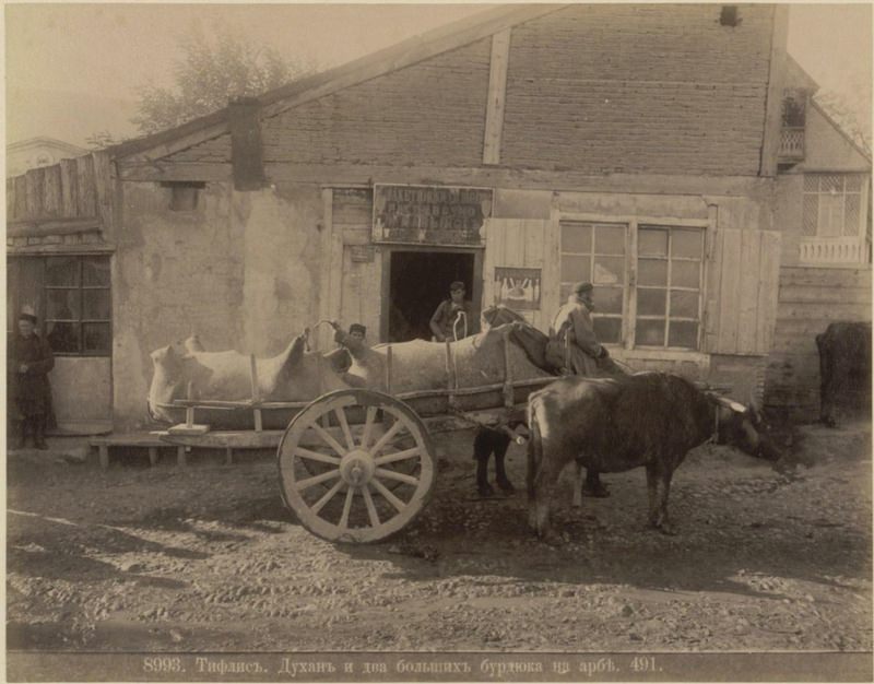 Exploring the Cultural Heritage of Caucasia and Transcaucasia Through 19th-Century Photos