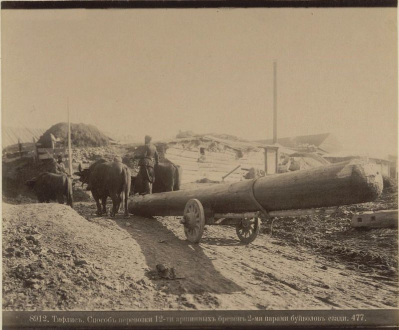 Exploring the Cultural Heritage of Caucasia and Transcaucasia Through 19th-Century Photos