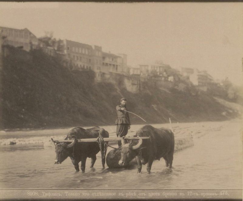 Exploring the Cultural Heritage of Caucasia and Transcaucasia Through 19th-Century Photos