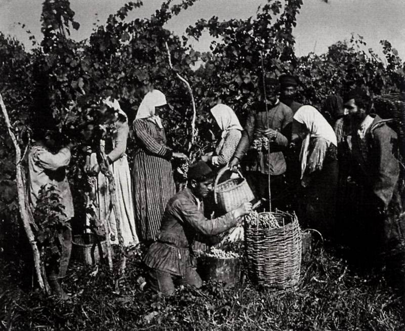 Exploring the Cultural Heritage of Caucasia and Transcaucasia Through 19th-Century Photos