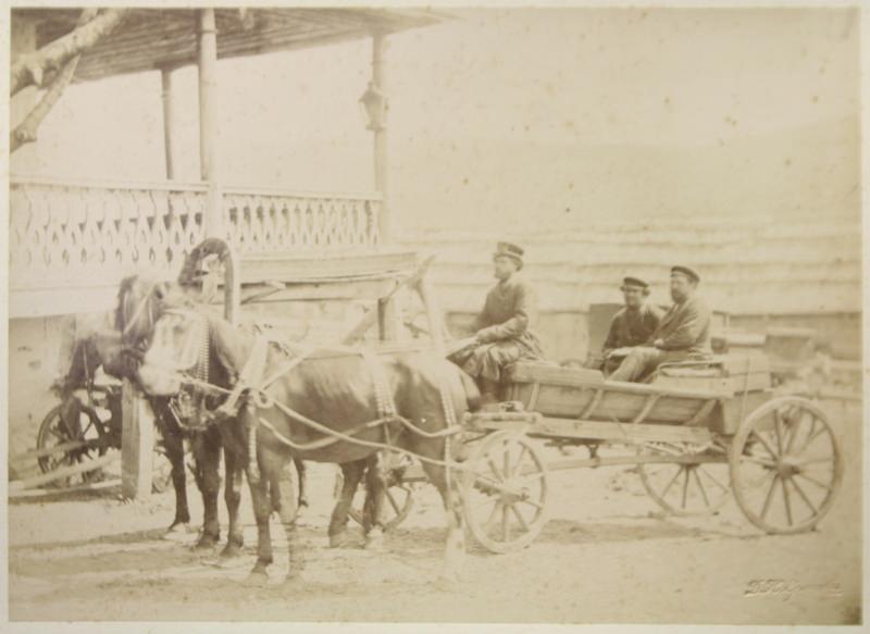 Exploring the Cultural Heritage of Caucasia and Transcaucasia Through 19th-Century Photos