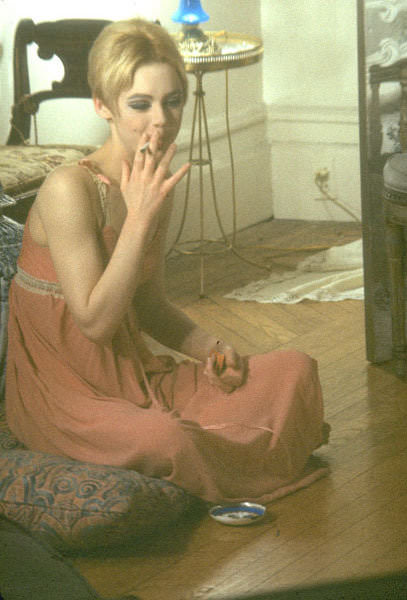 Icon of the 1960s: Edie Sedgwick's Style and Spirit Captured by Andy Warhol's Camera