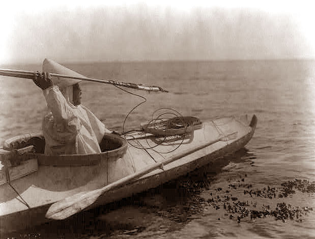 An Eskimo Hunter is in a kayak, and is about to throw a harpoon