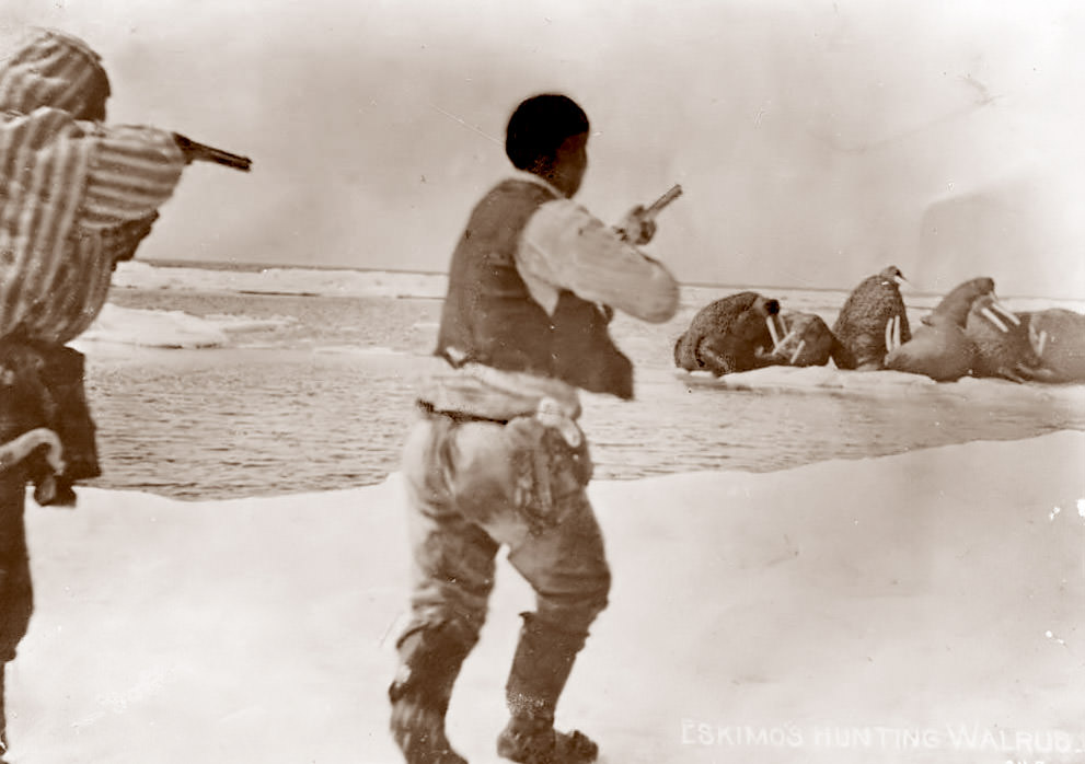 A couple of Eskimo Men hunting Walrus, 1920