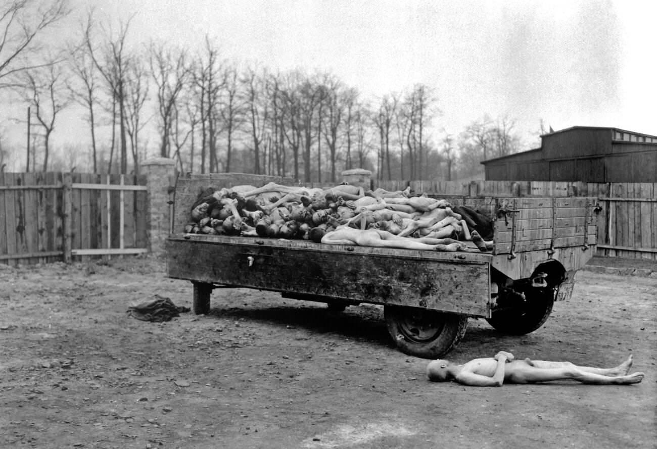 Buchenwald concentration camp - The Image shows dead bodies of those that were held captive as prisoners of war, 1945.