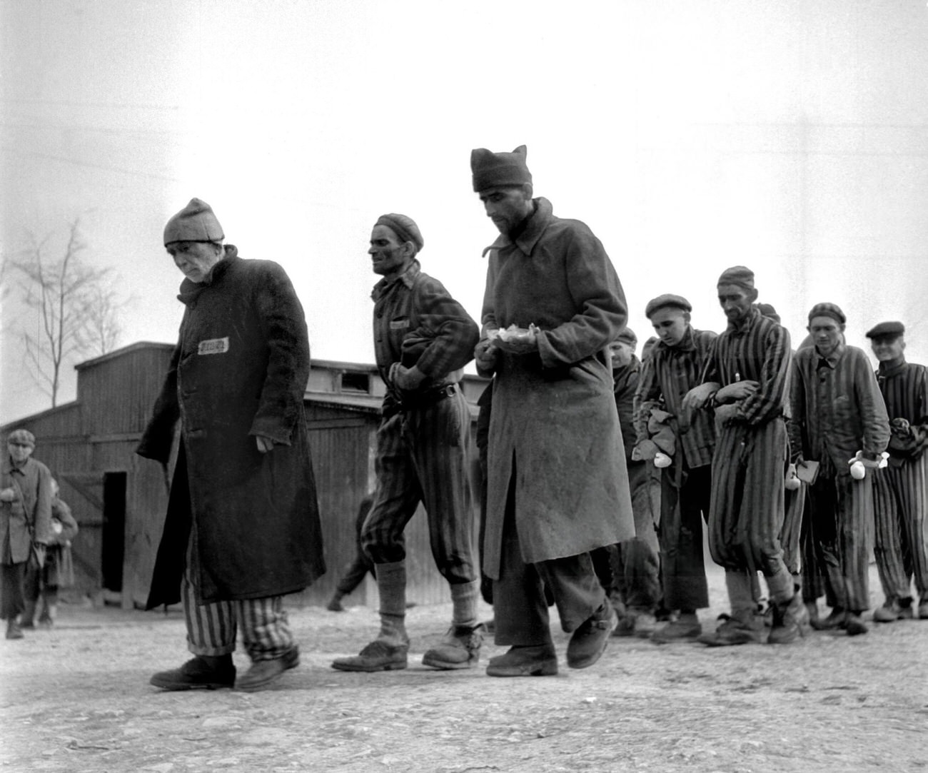 Weak and ill survivors of the Nazi concentration camp in Buchenwald march towards the infirmary, after the liberation of the camp by Allied troops, 1945.