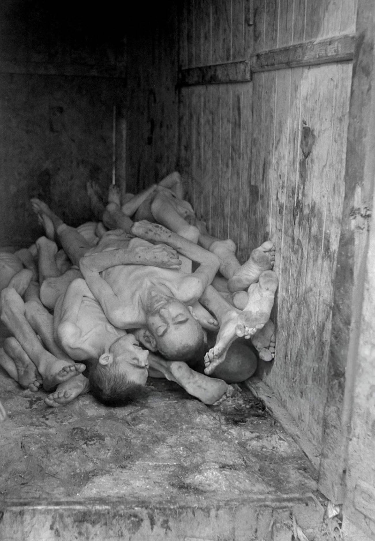 Corpses of prisoners are seen piled up at the Nazi concentration camp of Buchenwald, 1945.