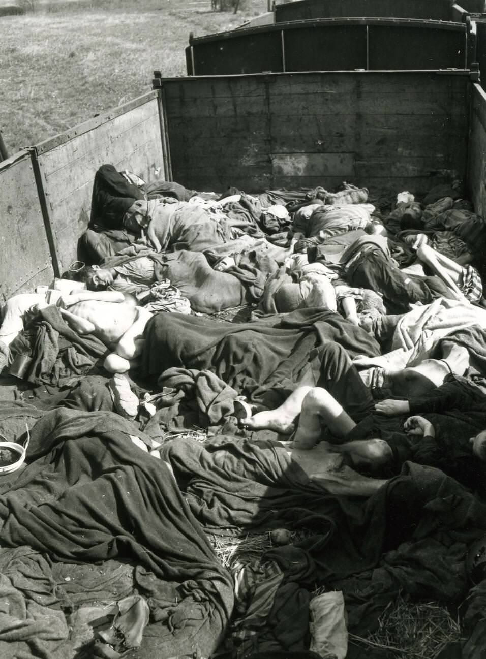 Buchenwald concentration camp railtruck full of dead POWs found after liberation of the camp by US Army, 1945.