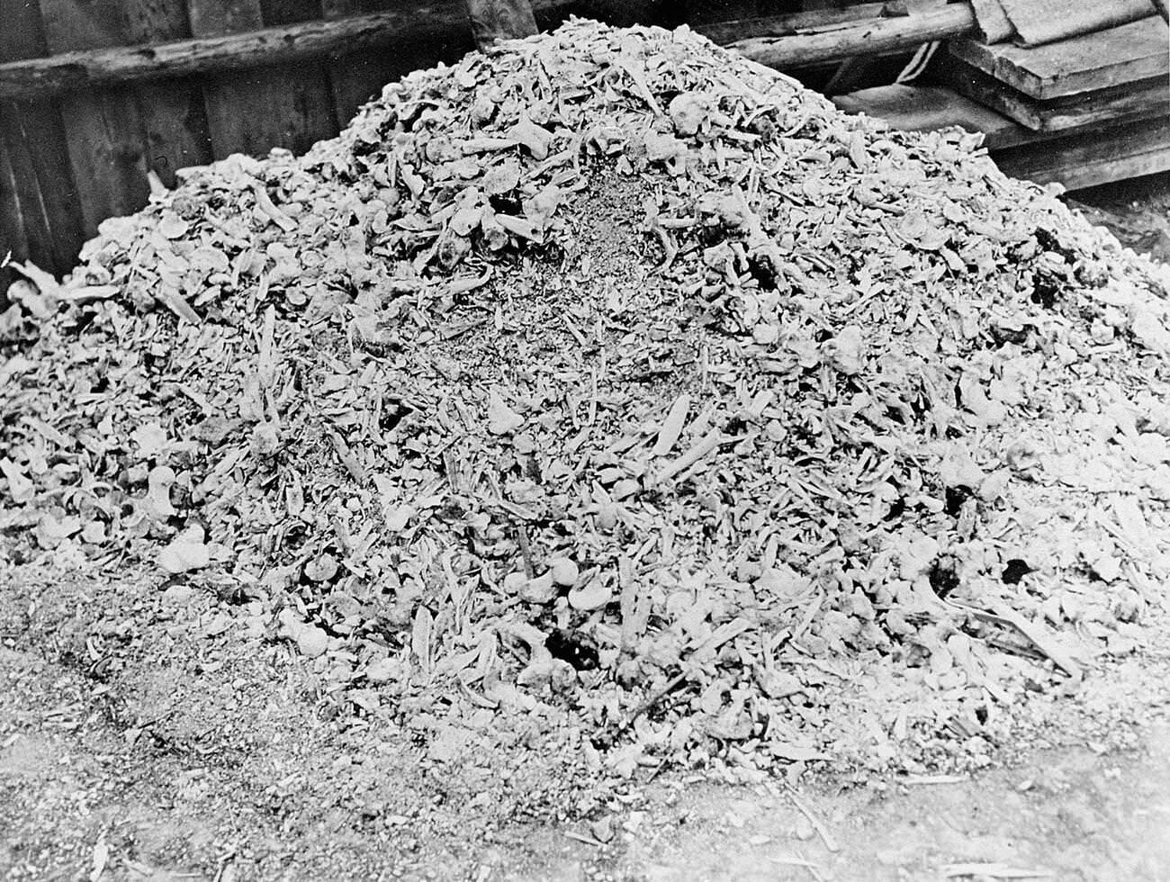 A heap of ash and bones from the crematoria at Buchenwald concentration camp, 1945.