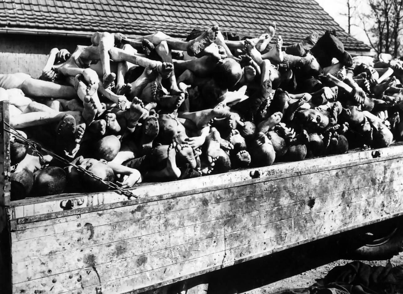 Buchenwald concentration camp after liberation by American forces, 1945.