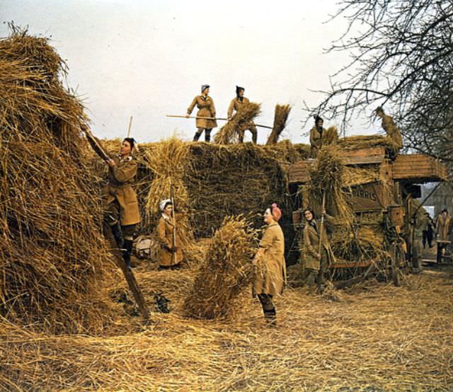 Land army girls, 1944