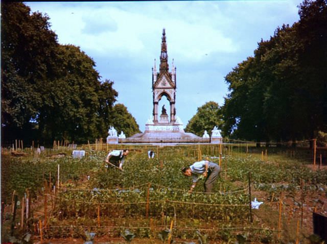 Albert Memorial, April 1944