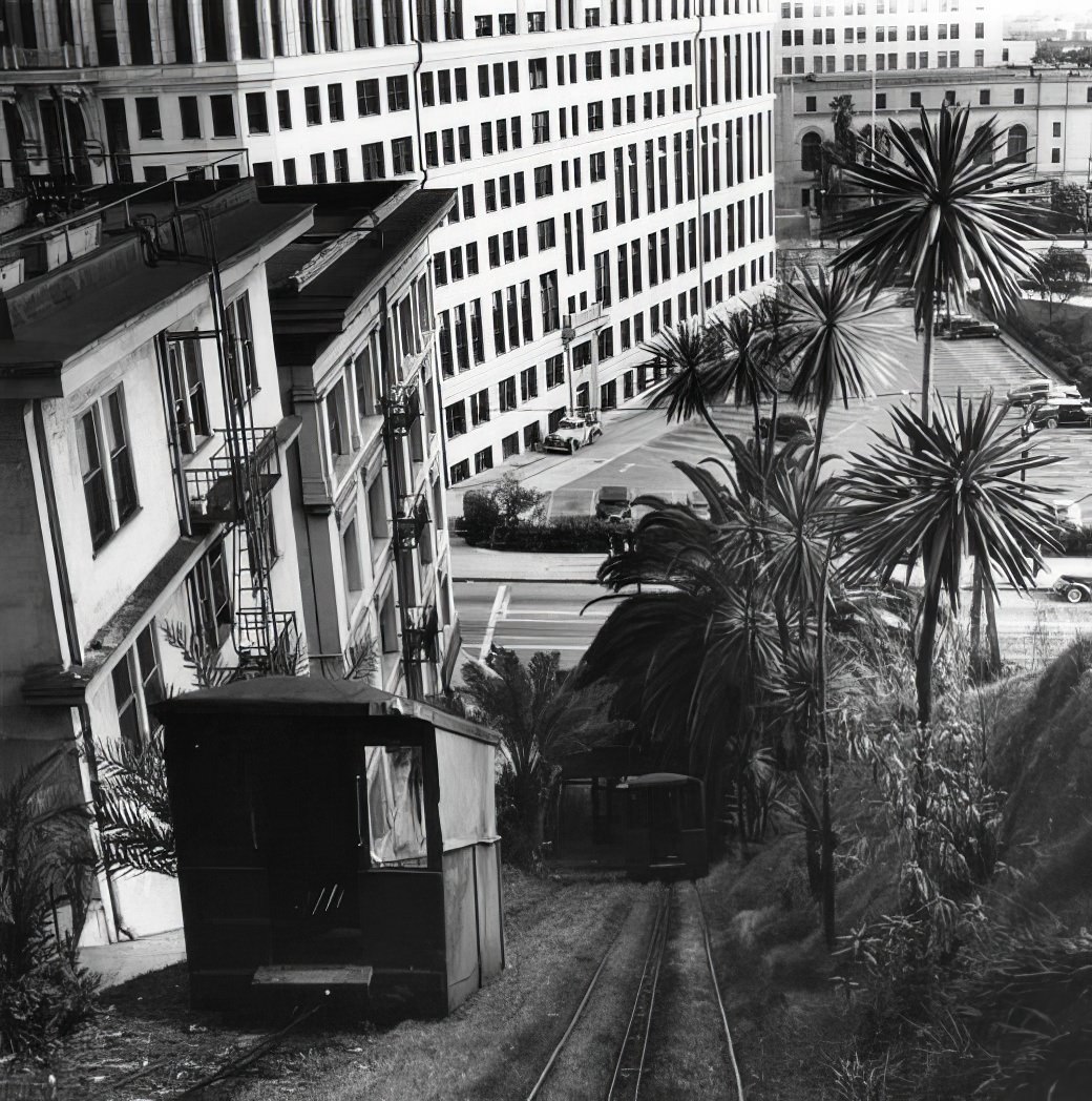 A City in Motion: Ansel Adams' Photos Capture the Energy of 1940s Los Angeles