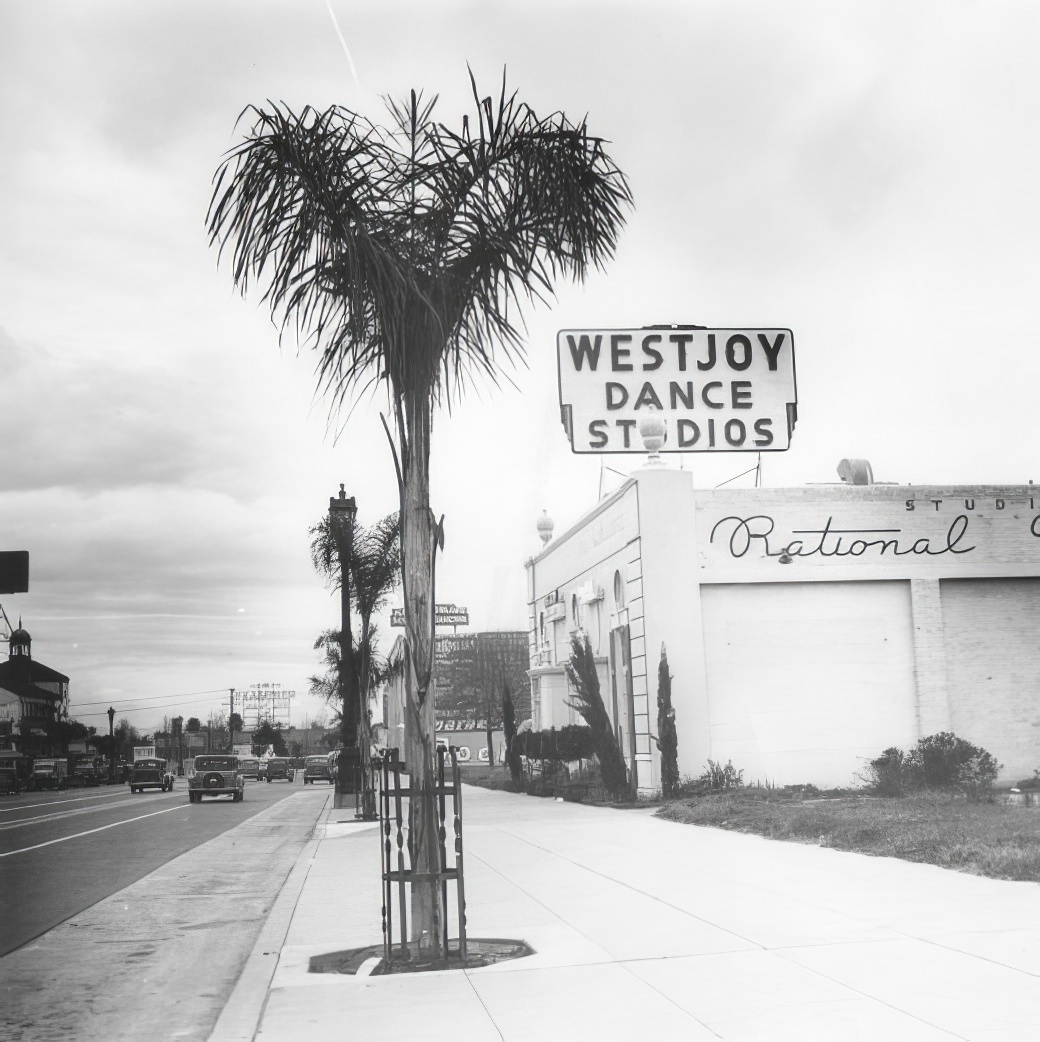 A City in Motion: Ansel Adams' Photos Capture the Energy of 1940s Los Angeles