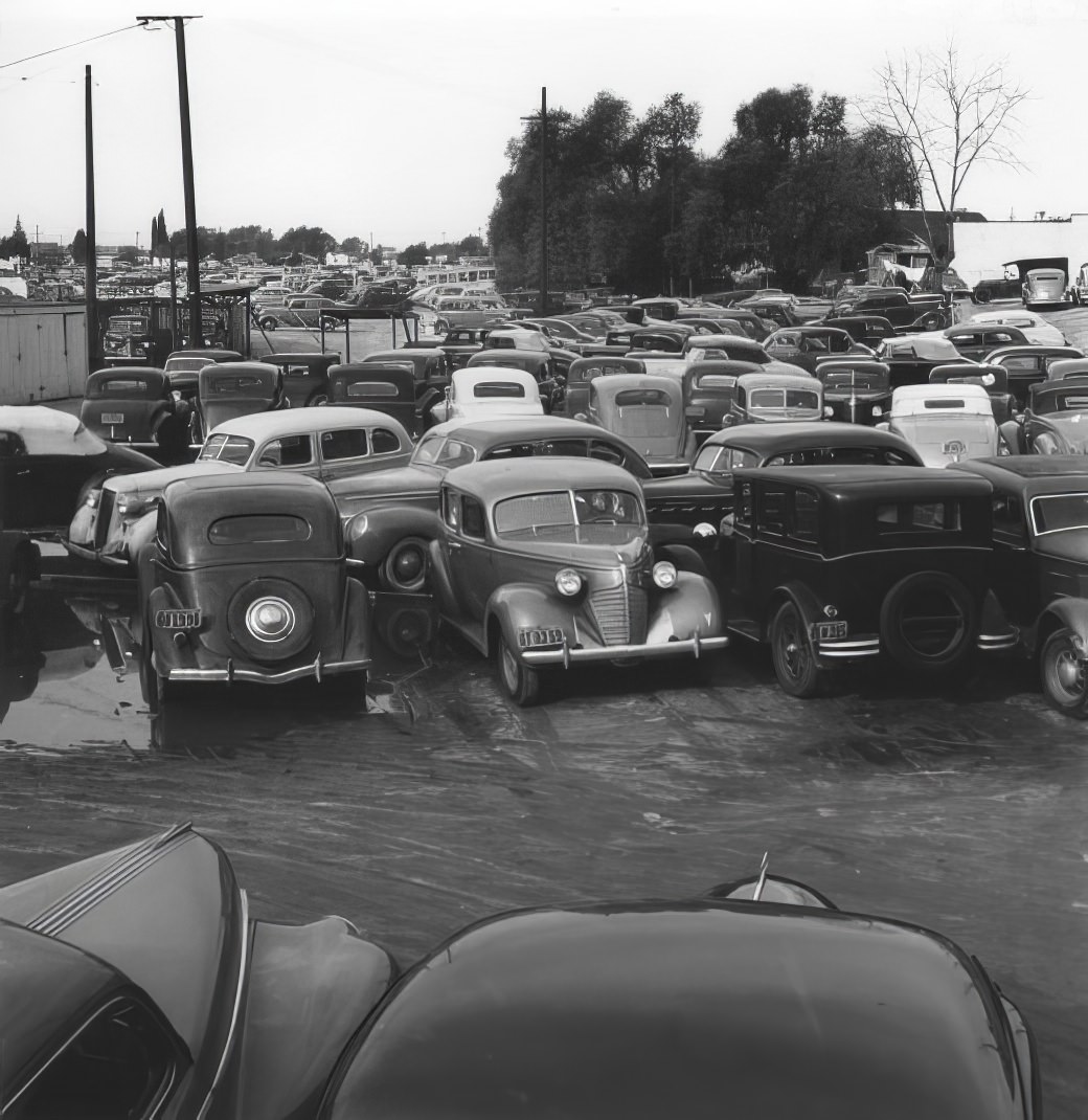 A City in Motion: Ansel Adams' Photos Capture the Energy of 1940s Los Angeles