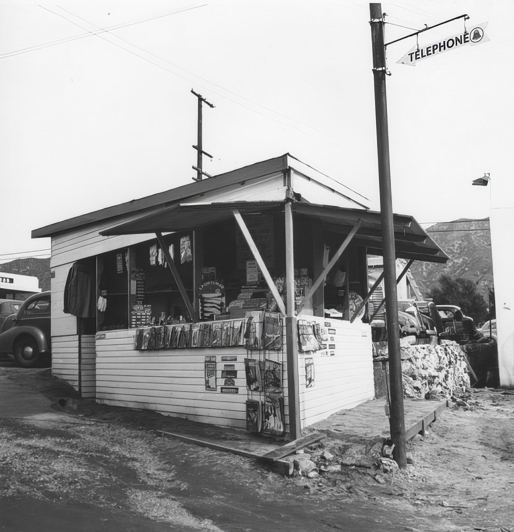 A City in Motion: Ansel Adams' Photos Capture the Energy of 1940s Los Angeles