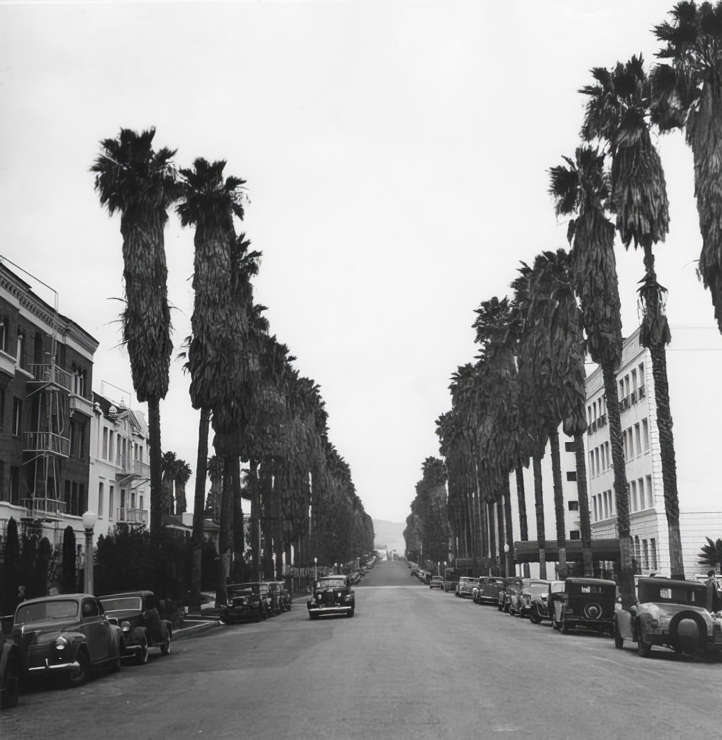 A City in Motion: Ansel Adams' Photos Capture the Energy of 1940s Los Angeles