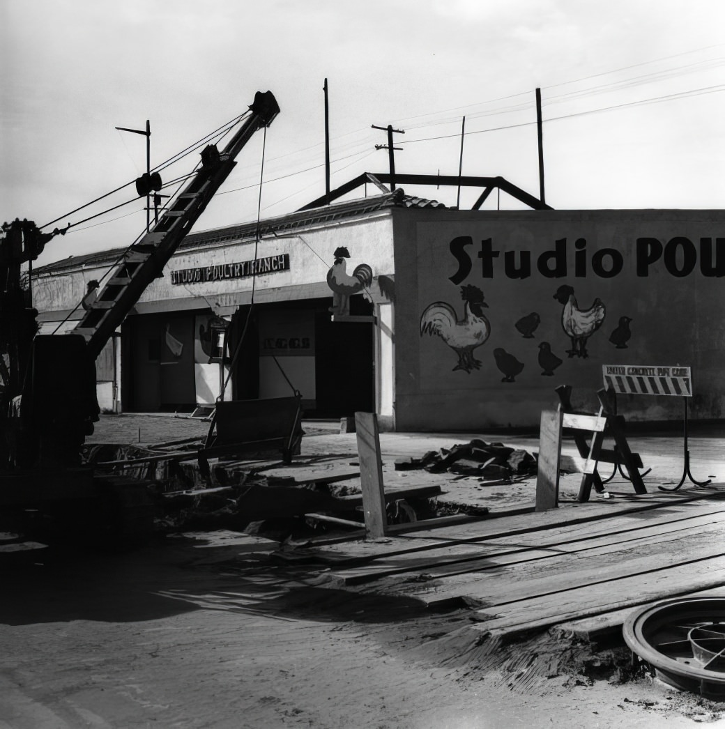 A City in Motion: Ansel Adams' Photos Capture the Energy of 1940s Los Angeles