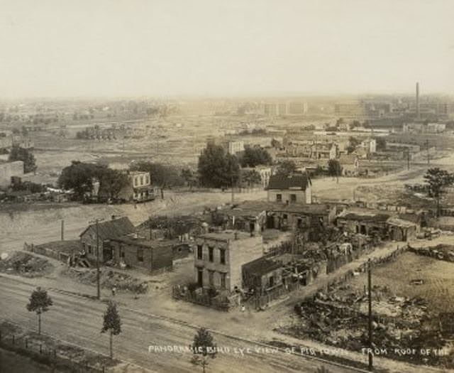 Panoramic Birds Eye view of Pigtown (on a modern map this would include parts of Crown Heights)