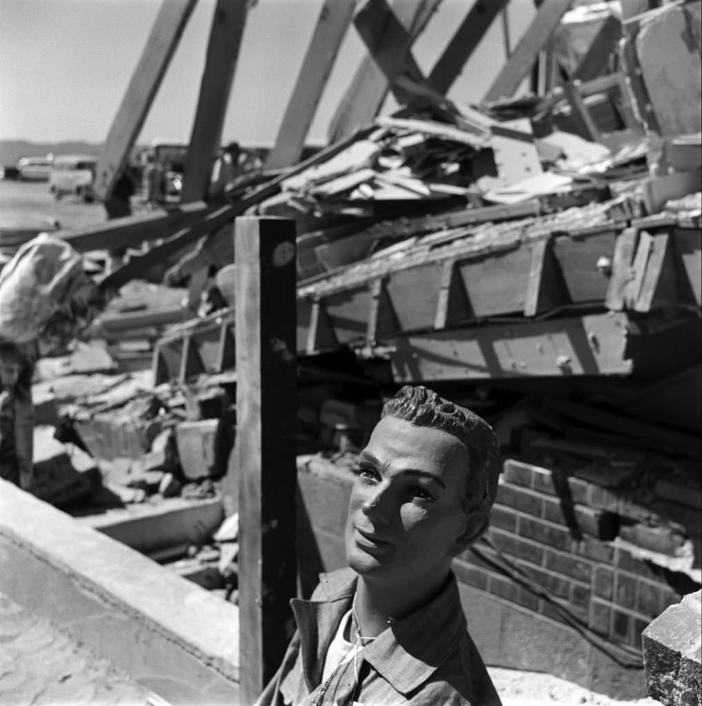 After a nuclear weapon test, Nevada, 1955.