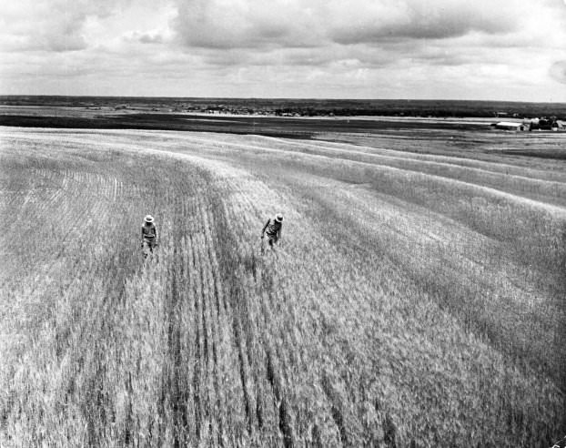 Life on the Land: Oklahoma Farmers During the Challenging Years of the Early 1940s