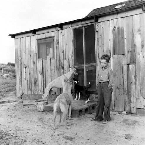 Life on the Land: Oklahoma Farmers During the Challenging Years of the Early 1940s