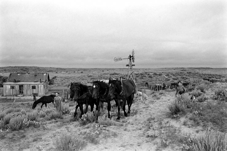 Life on the Land: Oklahoma Farmers During the Challenging Years of the Early 1940s