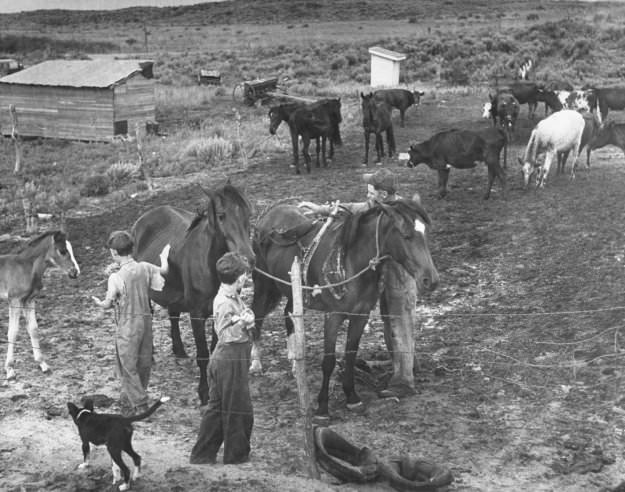 Life on the Land: Oklahoma Farmers During the Challenging Years of the Early 1940s