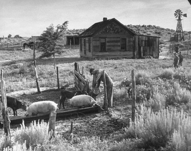 Life on the Land: Oklahoma Farmers During the Challenging Years of the Early 1940s