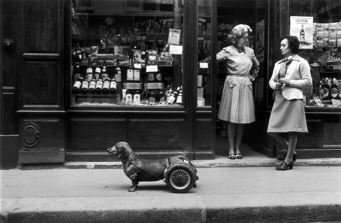 The Poetry of the Everyday: Robert Doisneau's Enduring Photographs of Parisian Life