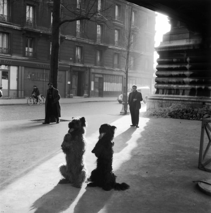 The Poetry of the Everyday: Robert Doisneau's Enduring Photographs of Parisian Life