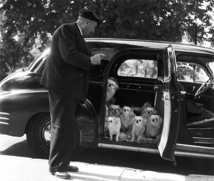 The Poetry of the Everyday: Robert Doisneau's Enduring Photographs of Parisian Life