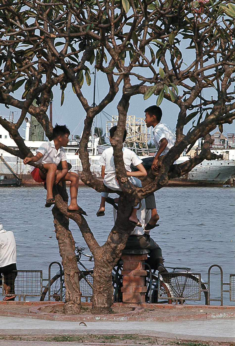 Saigon Port, 1968.