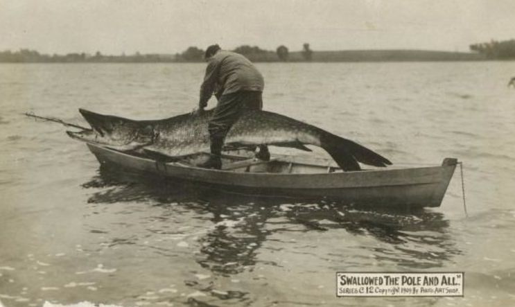 Strange and Funny Vintage Tall Tale Postcards from the 1900s that Exaggerate the Everyday