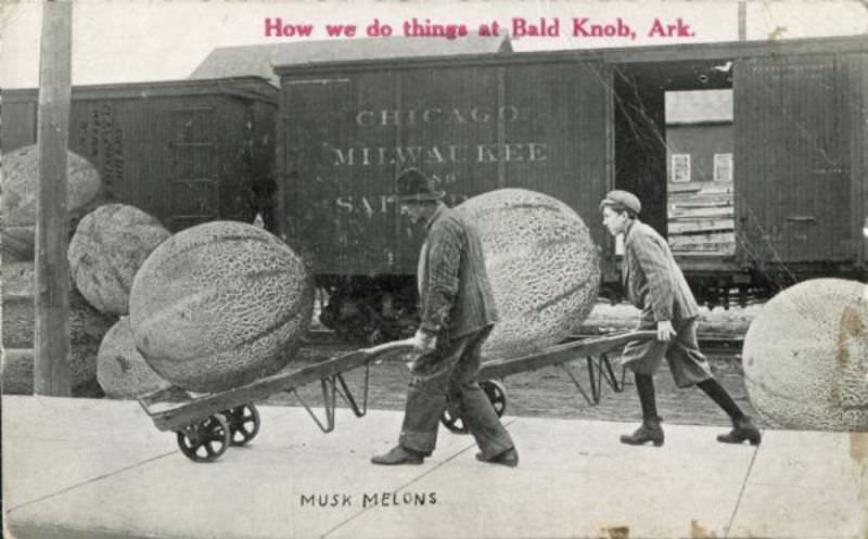 Strange and Funny Vintage Tall Tale Postcards from the 1900s that Exaggerate the Everyday