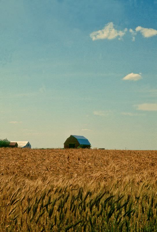 Elgin, Oklahoma, 2011.