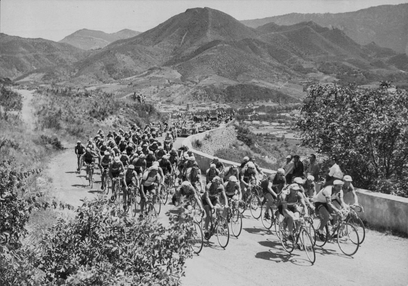 The pack of cyclists in the Tour de France, 1953.