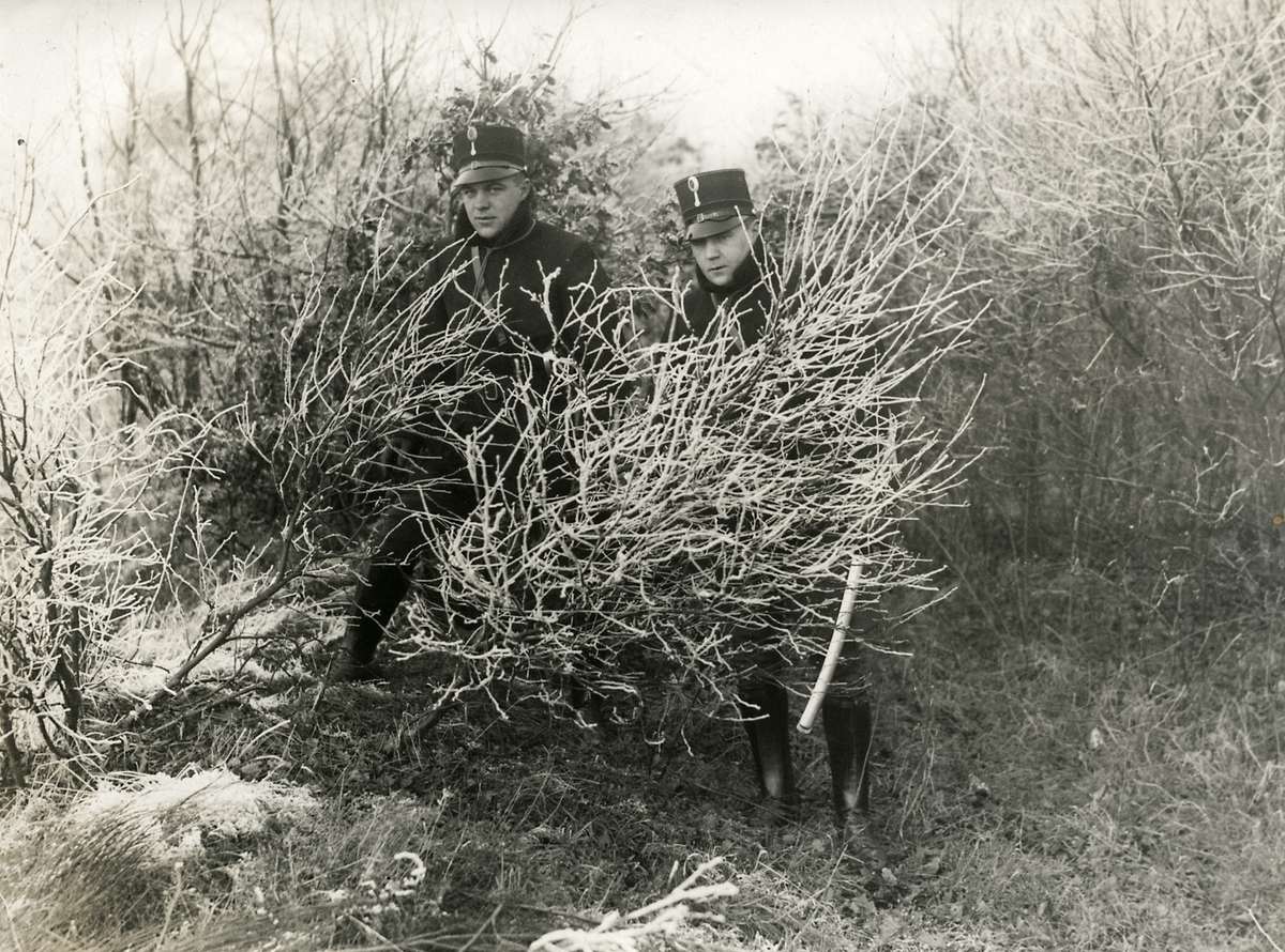 A Vanished Era: Vintage Photos Document the Lives of Western European Gypsies in the 1930s-1960s