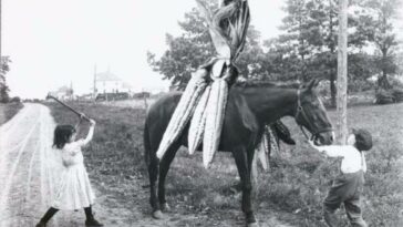 Tall Tale Postcards 1900s