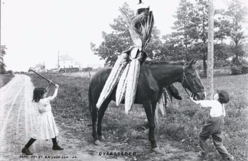 Tall Tale Postcards 1900s