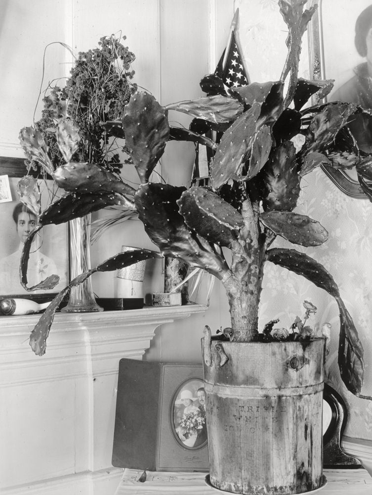 Interior detail of a Portuguese house, 1930.