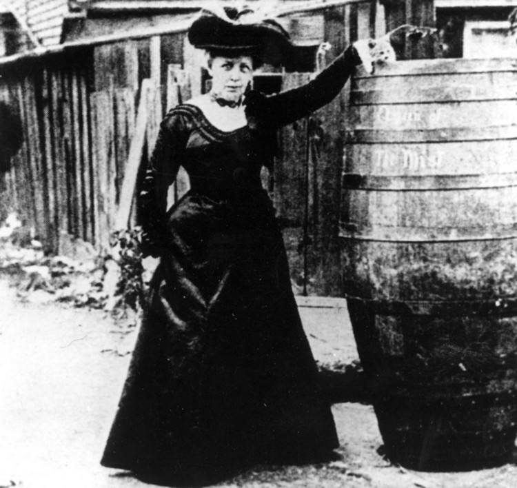 The True Story of Annie Edson Taylor: The Woman Who Survived a Trip Over Niagara Falls in a Barrel in 1901