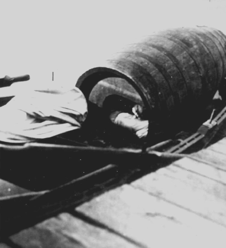 The True Story of Annie Edson Taylor: The Woman Who Survived a Trip Over Niagara Falls in a Barrel in 1901