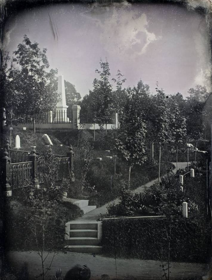 Gentian Path, Mount Auburn Cemetery.