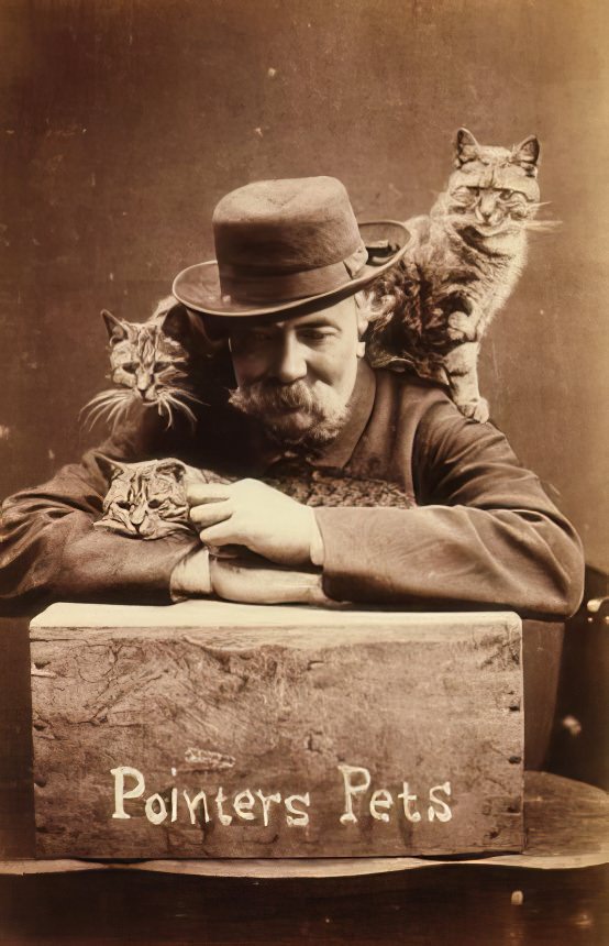 The Brighton Cats: Harry Pointer's Hilarious Feline Photography from the Late 1800s